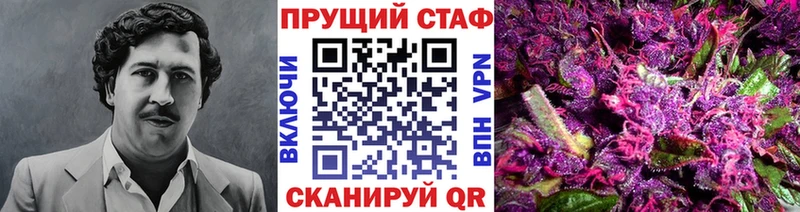 Виды наркотиков купить Петропавловск-Камчатский Галлюциногенные грибы  А ПВП  Гашиш  МАРИХУАНА  АМФЕТАМИН 