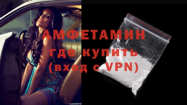 шишки Верея
