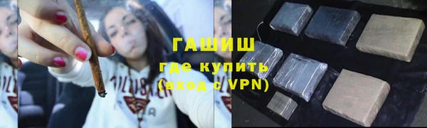 шишки Верея