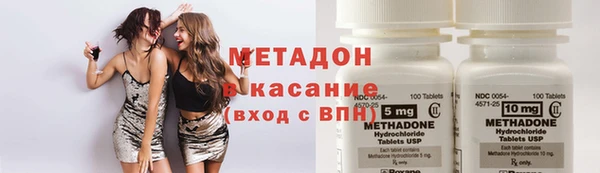 шишки Верея