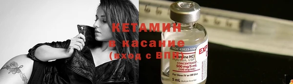 шишки Верея