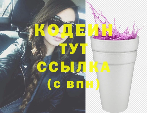 шишки Верея