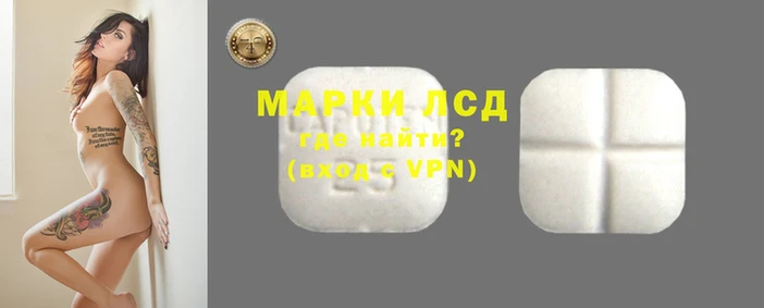 шишки Верея