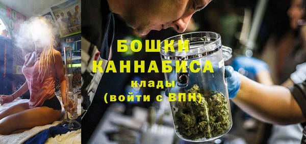 шишки Верея