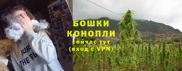 шишки Верея