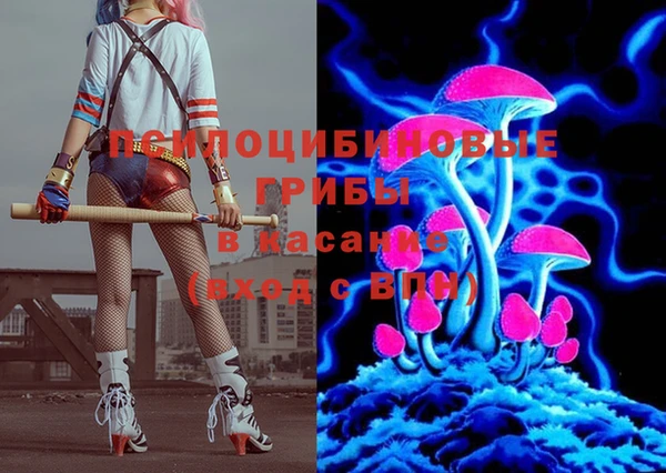 шишки Верея