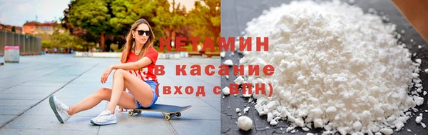 шишки Верея