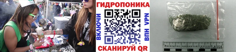 Каннабис конопля  где купить наркотик  Петропавловск-Камчатский 